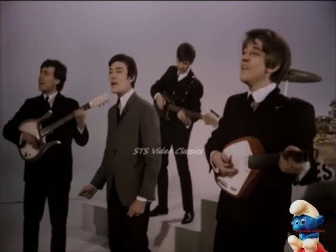 Look Through Any Window 📀 The Hollies {Stereo} 1965