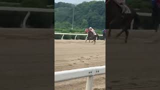 佐賀競馬　最終コーナー