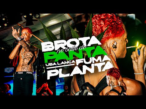BROTA NO BAILE DO PANTA USA LANÇA FUMA PLANTA - ORUAM (Web Clipe)