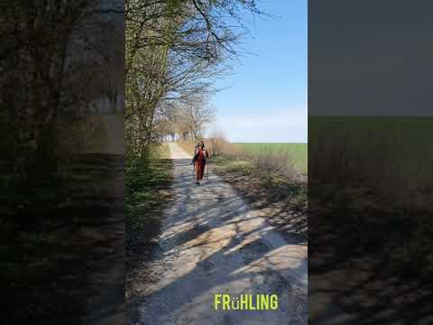 Nordic Walking