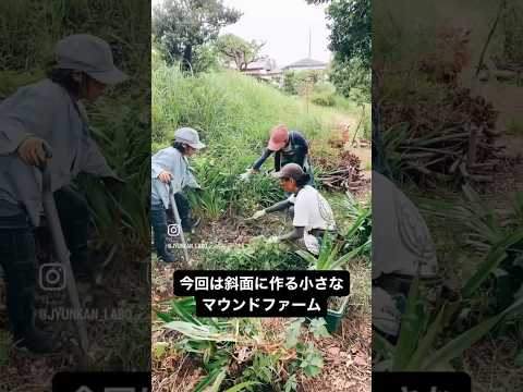 aménager son jardin en pente-muret-soutenement-arbustes