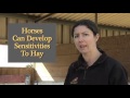 How To Treatment Options For Equine Diarrhea