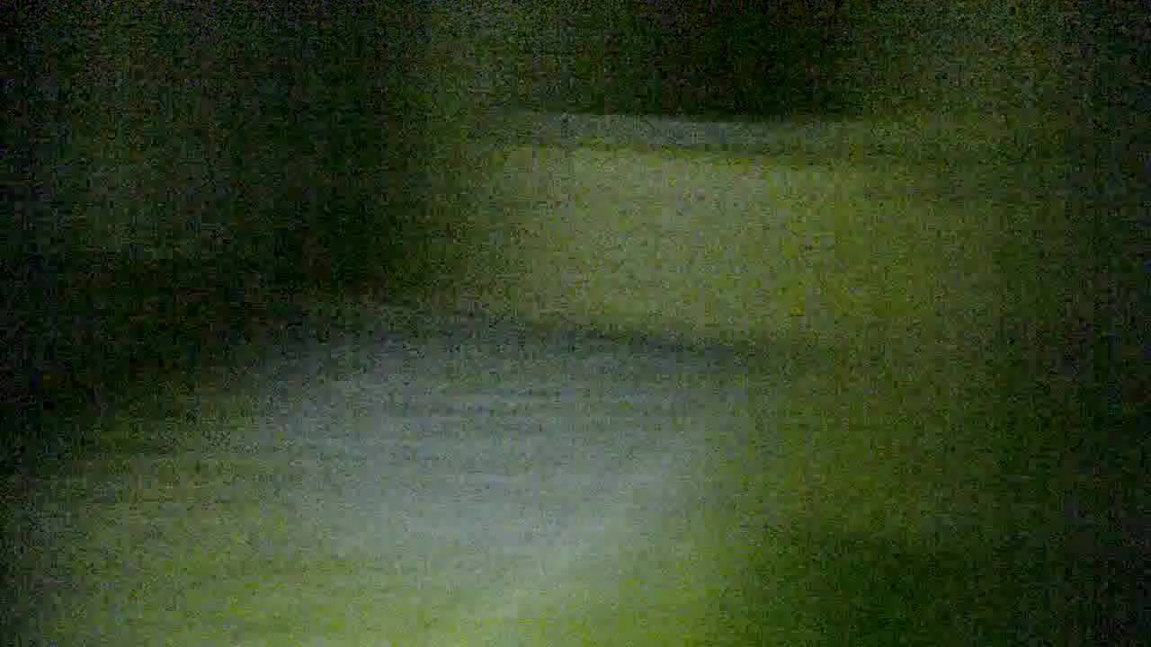 1013 Briar Lane Trailer