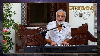 Yusuf / Cat Stevens – Peace Train: Picture Book (Live, 2021)