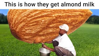 r/Surrealmemes | is it worth it