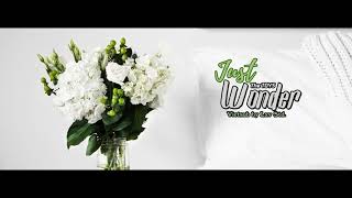 [Vietsub + Kara] Just Wonder ( พูดไม่ออก) - The TOYS