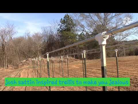 josh sattin inspired trellis system