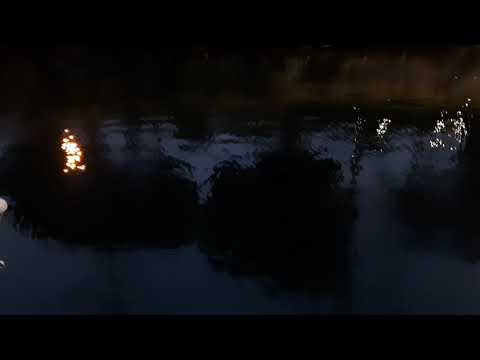 Somewhere between the Wind Rose & the War Museum ~ Nanaimo, BC Harbour Seal