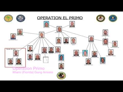 OPERATION PRIMO GANG ARRESTS | MIAMI, FLORIDA: The Cocaine Network Behind the Raids (Full Breakdown)