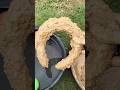 Bando Anak Dari Lumpur Best Oddly Satisfying Shortvideo Oddlysatisfying Bando