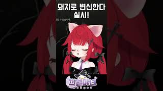 돼지로 변신한다 실시!