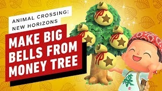 Animal Crossing: New Horizons - How to Plant Money Trees