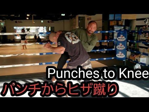 パンチから膝蹴り Punches to Knee.