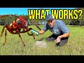 We FINALLY Found Something That KILLS Fire Ants