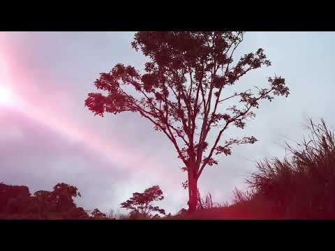 Promo Copa Endurance CR