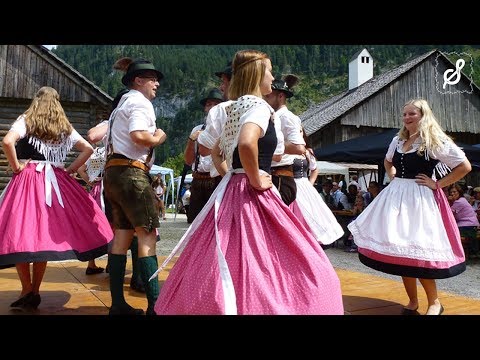 Salzdirndl.com – D’Dachstoana