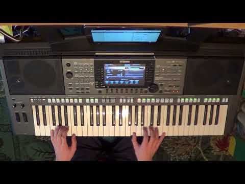 La Paloma PSR-S770 Cover by Vlad