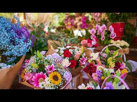 The Flower of the Quern / James Scott Skinner - Violin and Piano