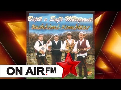 Bijte e Sefe Mleqanit - Ahmet Delia