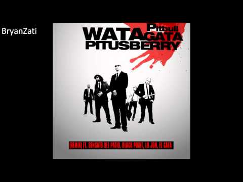 Watagatapitusberry - Pitbull, Lil Jon, Sensato Del Patio, Black Point ft El Cata