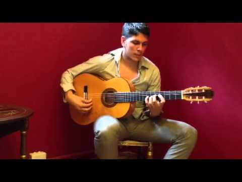 Lucas Martin 2010 flamenco guitar for sale