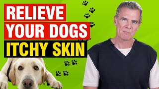 Apple Cider Vinegar For Dogs Itching Skin (5 Ways to Bring FAST Relief)