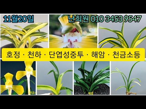 유튜브 썸네일