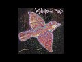 Widespread Panic - You Should Be Glad Live in Camden 8/21/2009