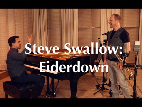 Eiderdown (Steve Swallow) - Ludwig and Benyamin Nuss