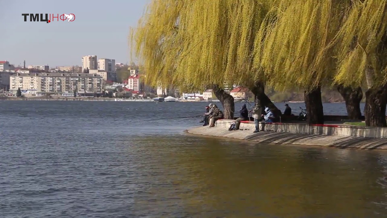 Полезное видео