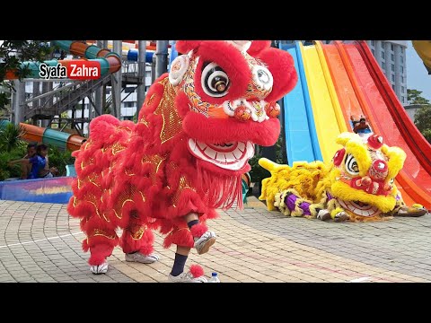 Barongsai 2020 performing at Atlantis Ancol Swimming Pool - Lion Dance cny 2023