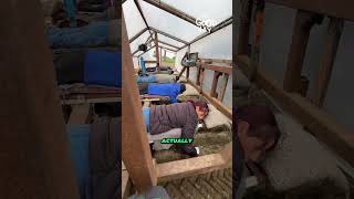 These Farmers Work Lying Down