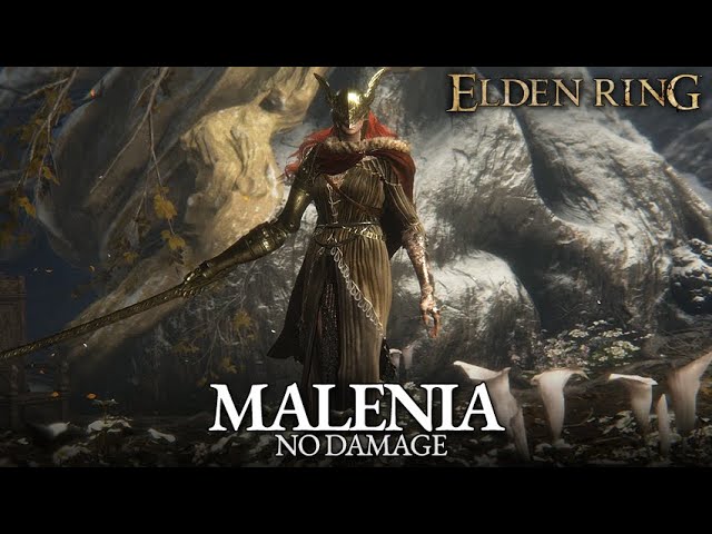 Elden Ring player turns every enemy into Malenia, still beats the game
