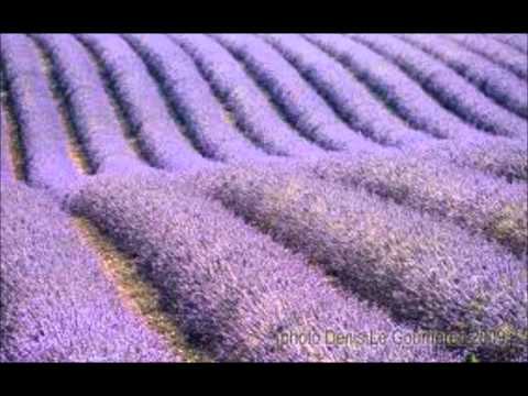 download lagu mp3 mp4 Montgolfire Paca, download lagu Montgolfire Paca gratis, unduh video klip Montgolfire Paca