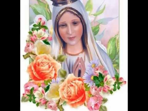 ČUJ NAS MAJKO NADO NAŠA❤❤❤