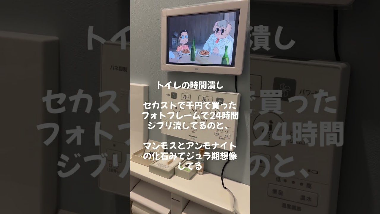 私のトイレ時間