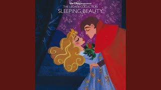 Magical House Cleaning/Blue Or Pink