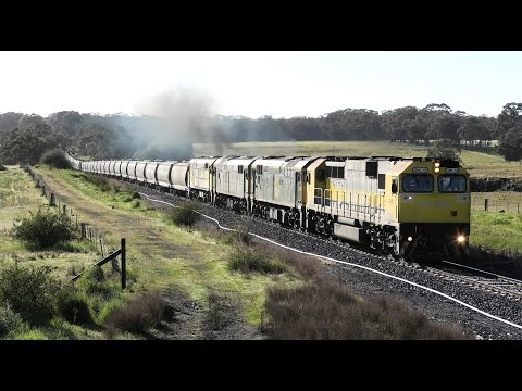 GML10-8044-37-44202 on 7762V ex Birchip at Bung Bong , Ampitheatre , Elmhurst , Ben Nevis.  28-09-20