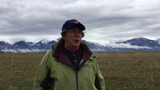 ORI's Denver Holt discusses Great Horned Owl behavior at the Charlo Osprey nest