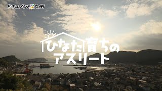 動画のサムネイル