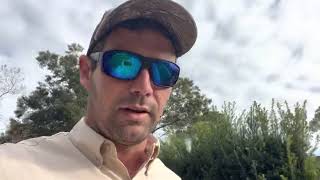 Laurel Oak Tree Removal in Winter Springs, FL