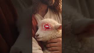 Em Jesus podemos sorrir #vidacristã #fé #reflexão