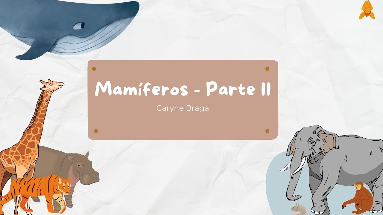 Mamíferos parte II: Diversidade atual