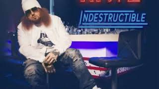 Indestructible-  Rittz