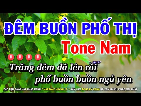 Karaoke Đêm Buồn Phố Thị - Tone Nam - Thái Ngọc Sơn ( Trước 1975 ) Huỳnh Lê