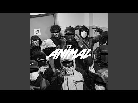 ANIMAL