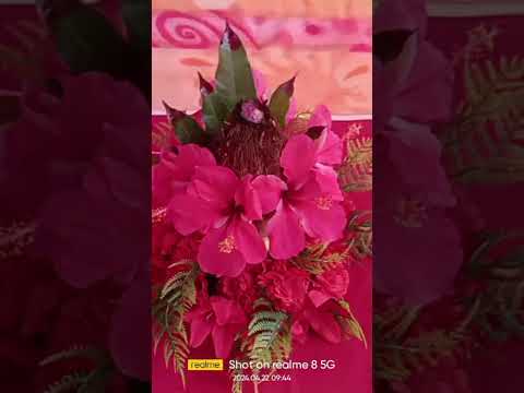 #music #song #flowershopslyrics #dishan #doglover #contact-9612597958