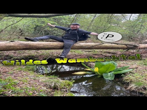 📌 Wilde Wege Wambachtal: Wenn Wander♥️verliebte 🥾 wandern❗| Oembergmoor | Mülheim | Duisburg