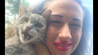 HOW TO MAKE A CAT DISAPPEAR!