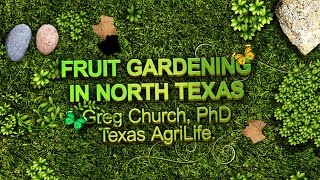 Fruit Gardening in North Texas